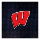 Authentic Street Signs Wisconsin Badgers Steel Magnet