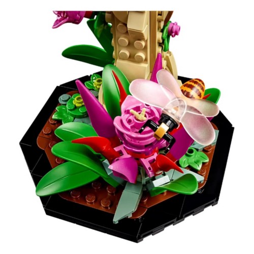 Heartページ The-Insect-Collection-Building