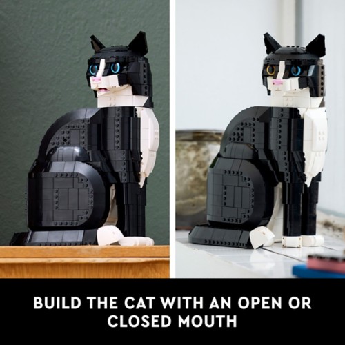 Cats and legos hotsell