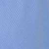 Blue/White