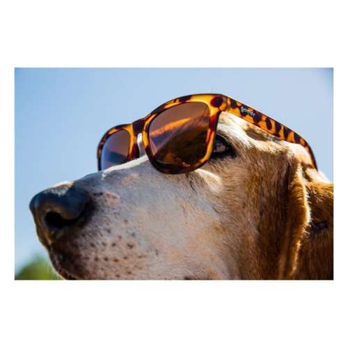 Goodr Bosley's Basset Hound Dreams Polarized Sunglasses