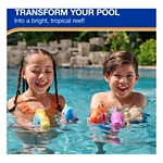 Swimways Rainbow Reef Fish Pool Toy - Thumbnail 3 of 6