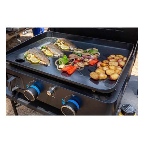 Pit Boss 2-Burner Portable Propane Gas BBQ Grill - Stainless Steel