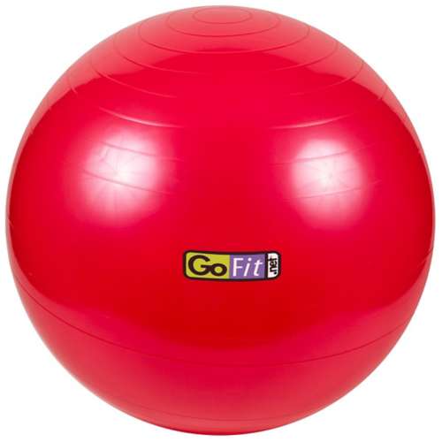 GoFit Stability Ball