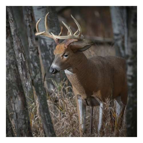 Dave Smith Decoys Posturing Buck Decoy