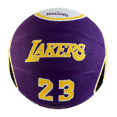 spalding lebron james basketball