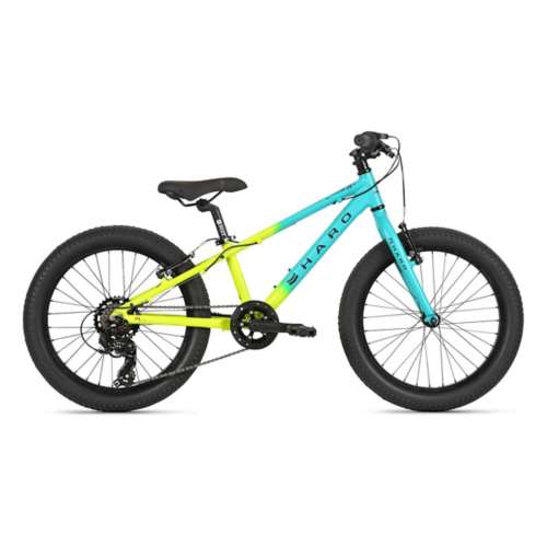 Kids' Haro Flightline 20 Plus Mountain Bike