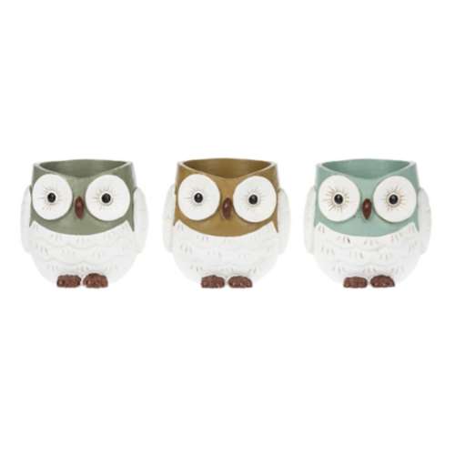 Midwest-CBK Owl Planter Pots (Color May Vary)