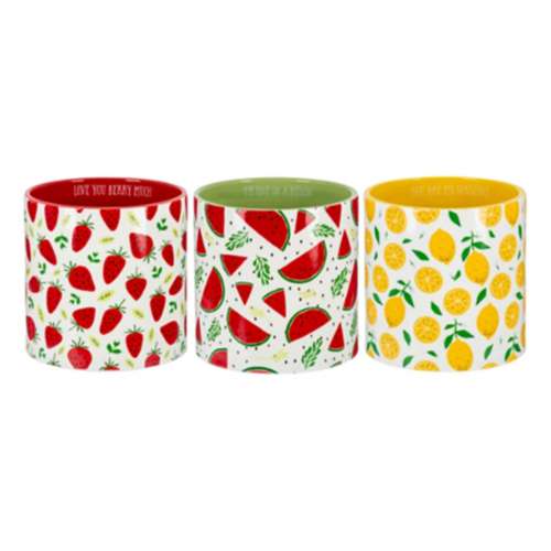 Midwest-CBK Friut Message Planters (Style May Vary)