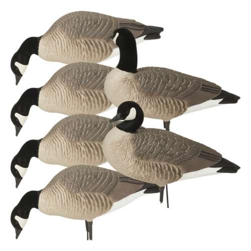 Greenhead Gear Hunter Series Full Body Canada Goose Decoys 6-Pack