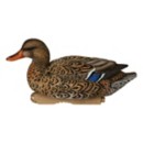 Greenhead Gear Pro-Grade XD Series Harvester Mallard Decoys 6-Pack