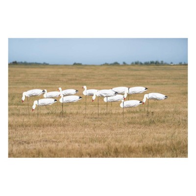 Greenhead Gear Pro-Grade Snow Goose Sock Decoys with Heads 12 ct.