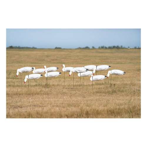 Greenhead Gear Pro-Grade Snow Goose Sock Decoys with Heads 12 ct.