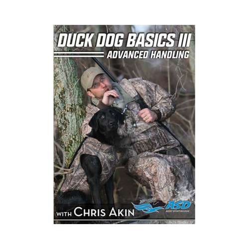 ASD Duck Dog Basics III DVD