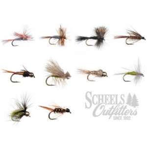 All Nymphs – Flys and Guides  Largest Selection of Flies in Arkansas