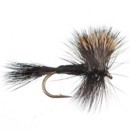 Scheels Outfitters Classic Trout Fly Assortments 10 Pack