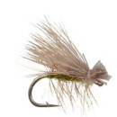Scheels Outfitters Classic Trout Fly Assortments 10 Pack