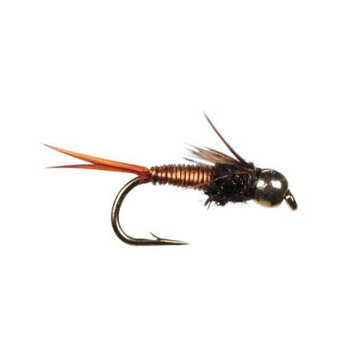 Scheels Outfitters Classic Mayfly Liftecycle Fly Assortments 10 Pack