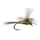Scheels Outfitters Classic Mayfly Liftecycle Fly Assortments 10 Pack