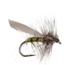 Scheels Outfitters Classic Caddis Lifecycle Fly Assortments 10 Pack
