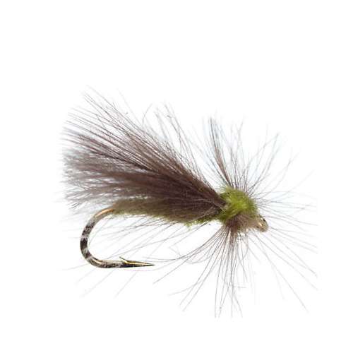 Scheels Outfitters Classic Caddis Lifecycle Fly Assortments 10