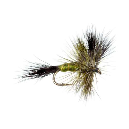 Scheels Outfitters Classic Dry Fly Assortments 10 Pack