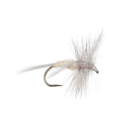 Fly Fishing with Scheels
