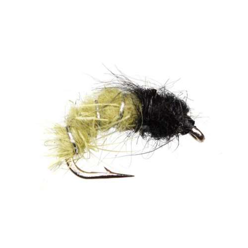 Scheels Outfitters Classic Nymphs Fly Assortments 10 Pack