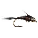 Scheels Outfitters Classic Pheasant Tail Fly Assortments 10 Pack
