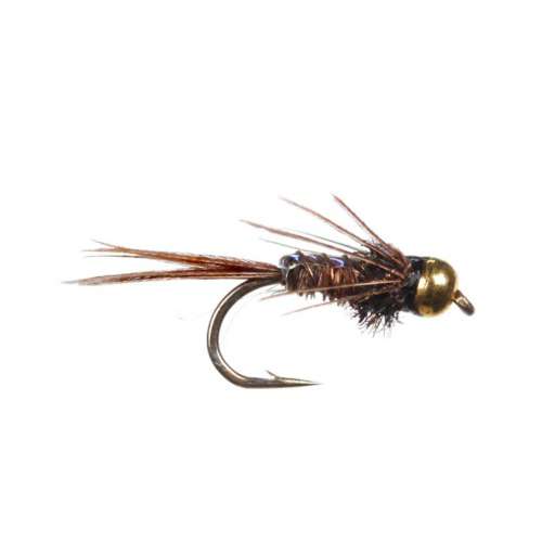 Scheels Outfitters Classic Pheasant Tail Fly Assortments 10 Pack