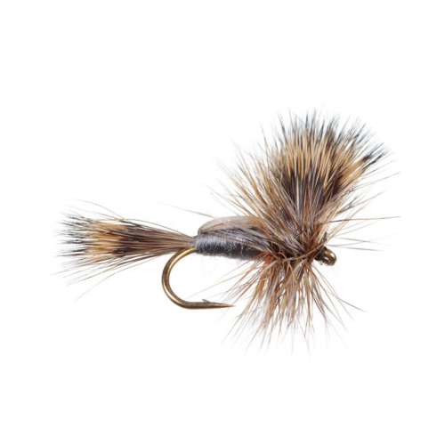 Scheels Outfitters Classic Hairwig Fly Assortments 10 Pack