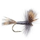 Scheels Outfitters Classic Hairwig Fly Assortments 10 Pack
