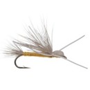 Scheels Outfitters Classic Terrestrial Fly Assortments 10 Pack