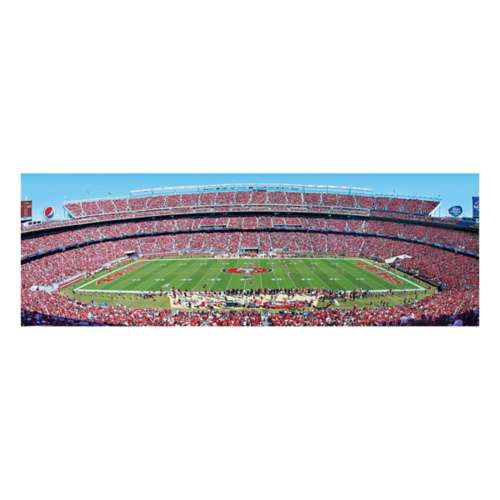 Masterpieces Puzzle Co. San Francisco 49ers 1000pc Panoramic Puzzle