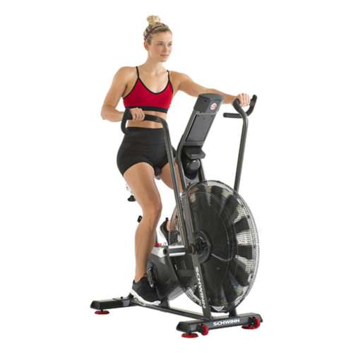 Schwinn airdyne exercise bike hot sale