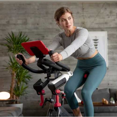 schwinn ic4 apple health