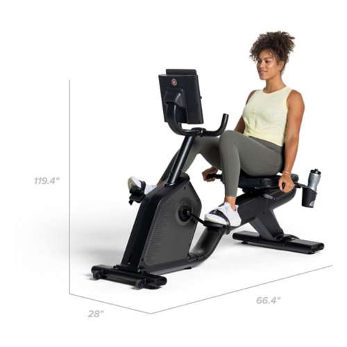 Schwinn 290 Recumbent Bike