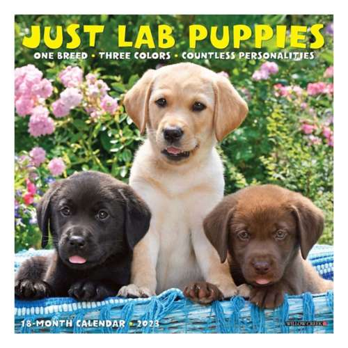 Willow Creek Press 2023 Just Lab Puppies Calendar
