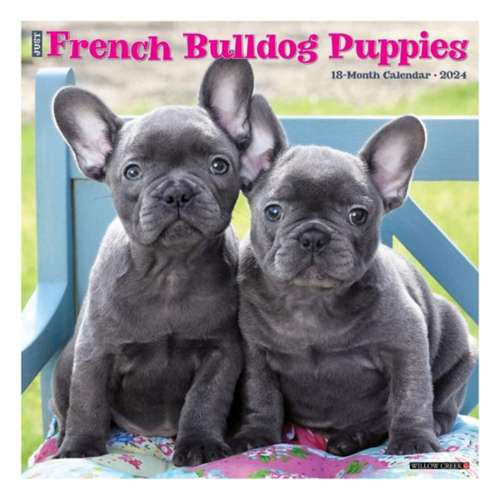 Self Rolling Frenchie Toy Ball - French Bulldog Store