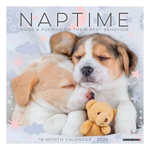 Willow Creek Press Naptime (Dog & Puppies) 2024 Calendar