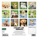 Willow Creek Press Just Yellow Lab Puppies 2024 Wall Calendar