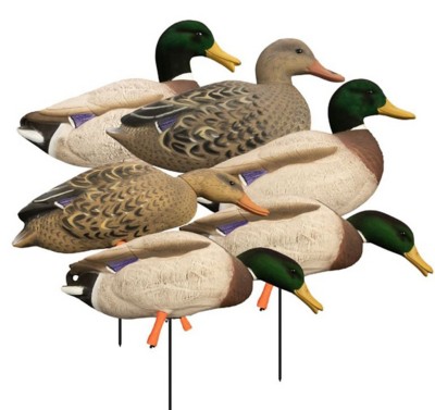 Higdon Magnum Full-Body Mallard, Variety Pk, Flocked Heads