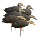 Higdon Magnum Full-Body Black Duck, Variety Pk