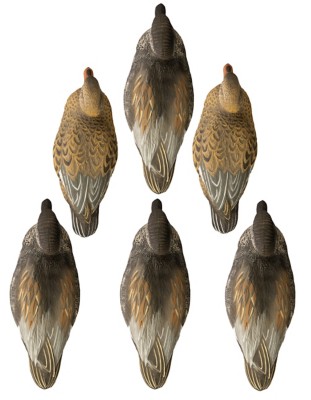 Higdon Outdoors Battleship Gadwall Foam Filled 6 Pk Decoys