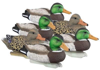 Higdon Standard Mallard