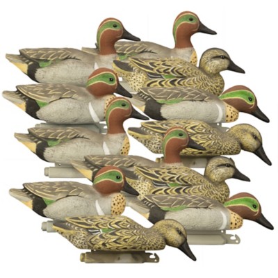 Higdon Standard Green Wing Teal Foam Filled (12pk)