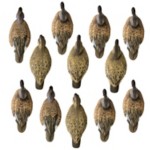 Higdon Standard Blue Wing Teal Foam filled (12pk) - Thumbnail 2 of 2