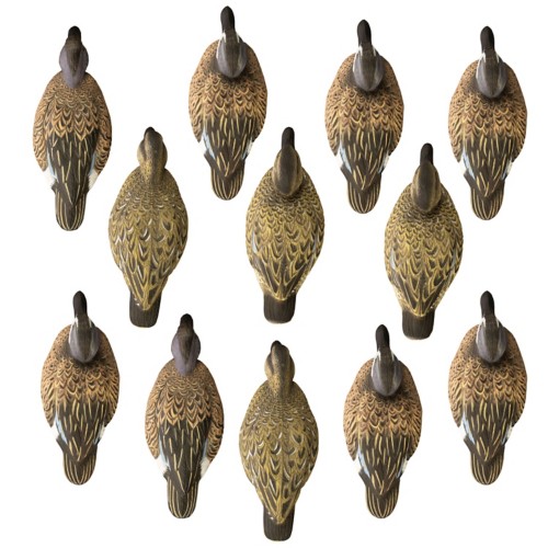Higdon Standard Blue Wing Teal Foam filled (12pk) - Primary Image