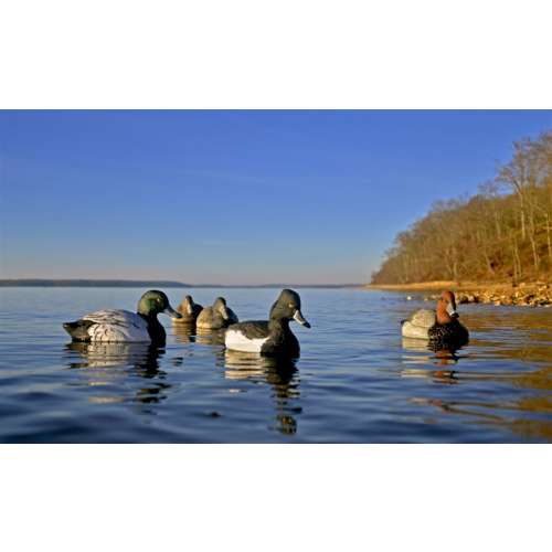 Higdon Standard Diver Decoy Foam Filled 6 Pack