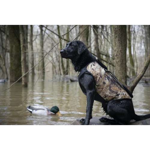 Duck hunting outlet vest for dogs